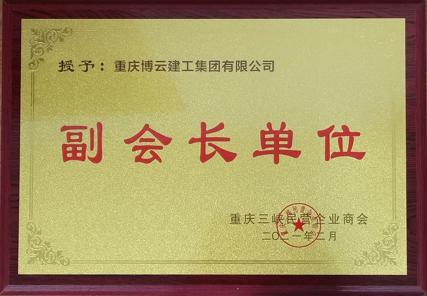 重慶三峽民營企業(yè)商會副會長單位